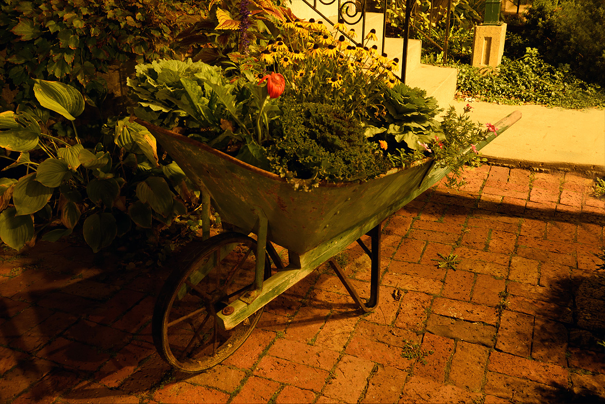 Midnight Garden picture