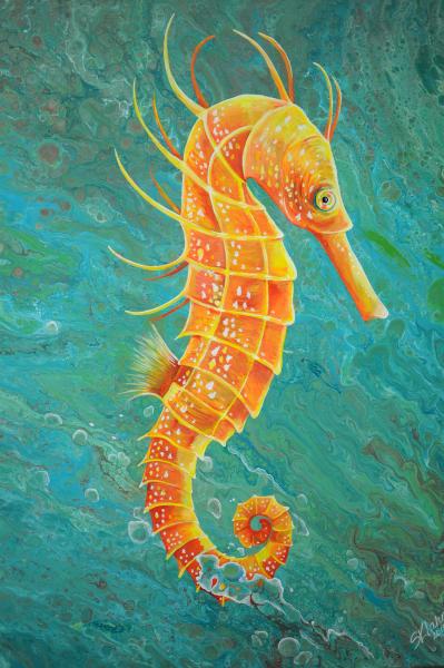 Seahorse picture