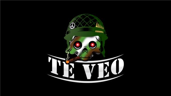 Te Veo Corp