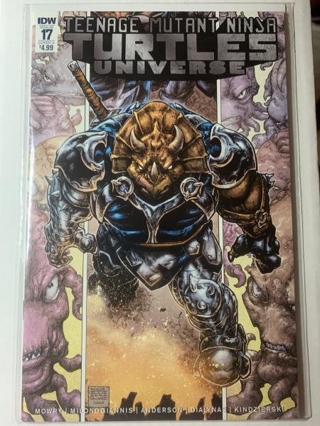 Teenage Mutant Ninja Turtles Universe #17 Cover A IDW 2017