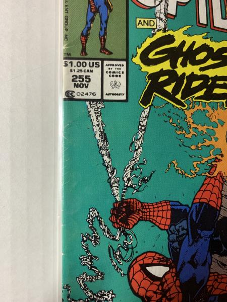 Marvel Comics Marvel Tales 1991 # 255 SPIDER-MAN AND GHOST RIDER picture