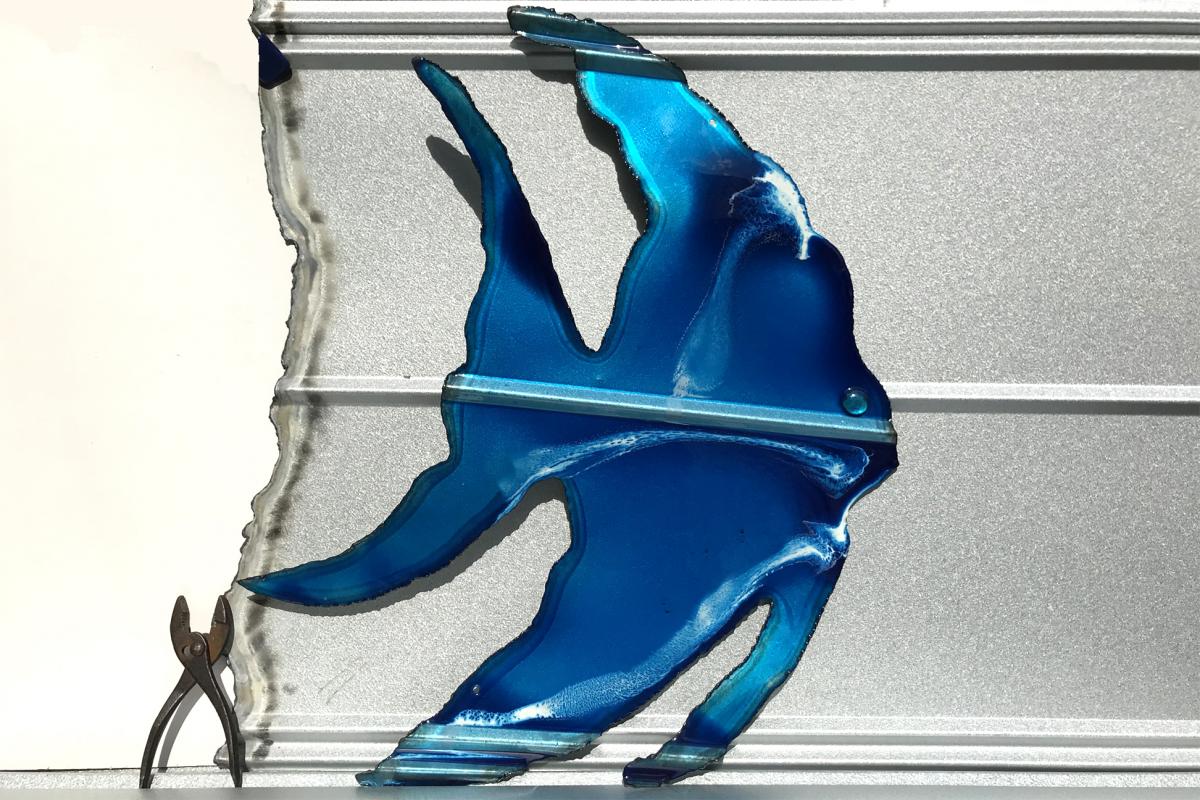 Angelfish (21&rdquo;x26&rdquo;) picture