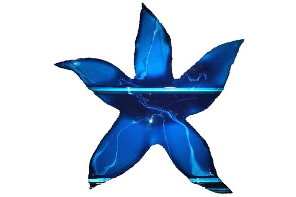 Starfish (29”x29”) picture
