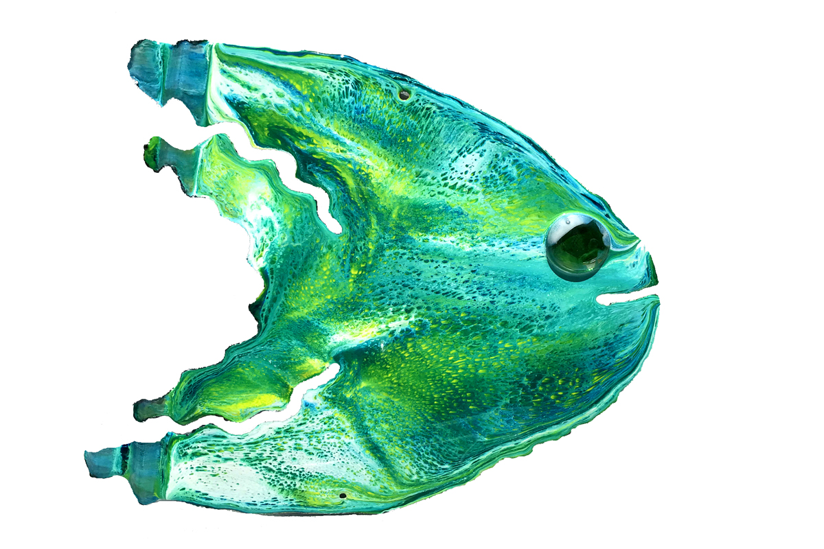 Angelfish (15&rdquo;x11&rdquo;) picture