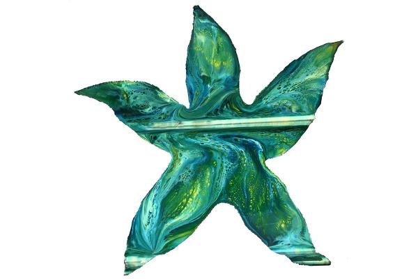 Starfish (19”x19”) picture