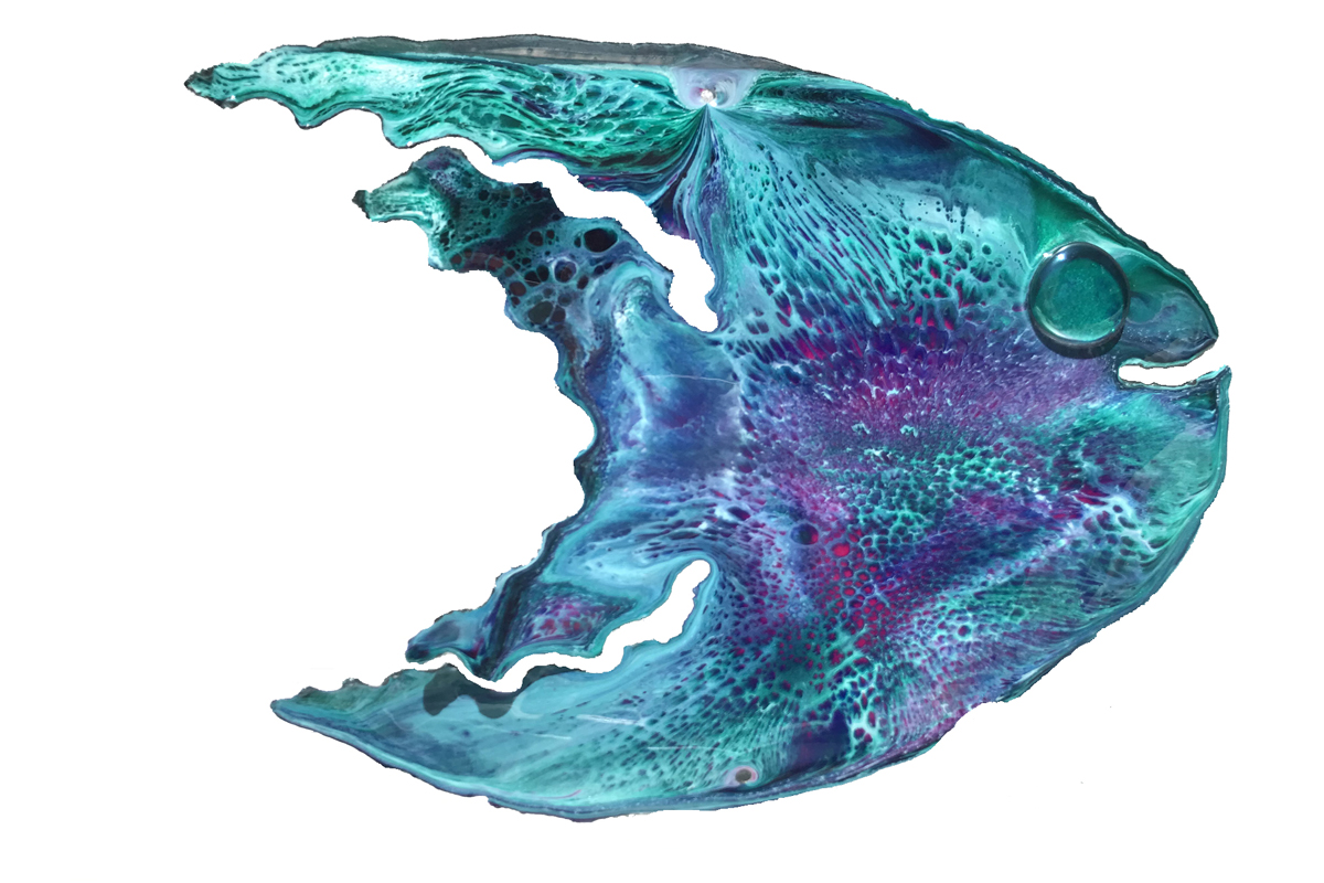 Angelfish (15&rdquo;x11&rdquo;) picture