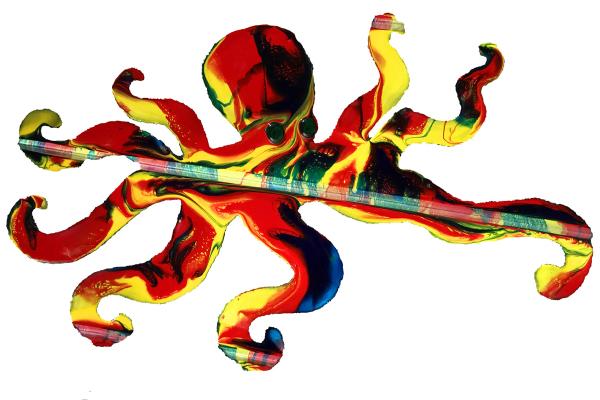 Octopus (39”x23”) picture