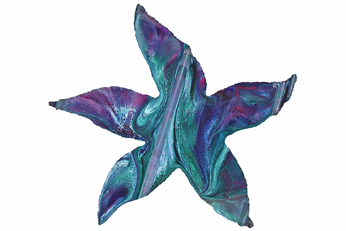 Starfish (19&rdquo;x19&rdquo;) picture