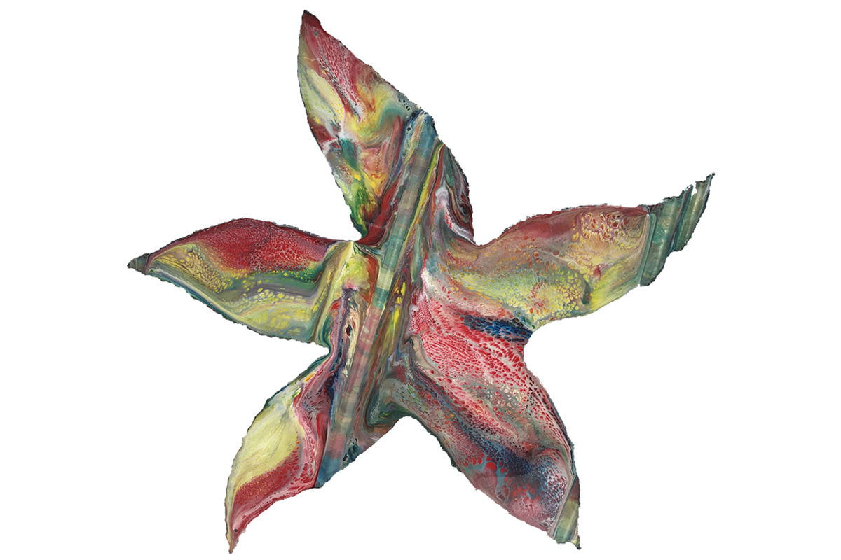 Starfish (19&rdquo;x19&rdquo;) picture