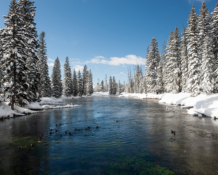 Montana Stream