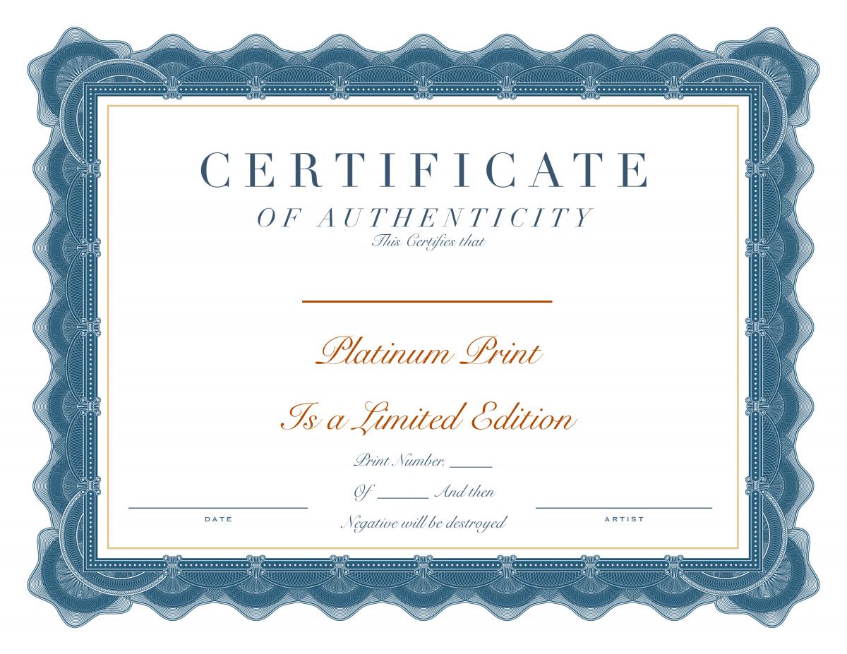 Winter River Platinum picture