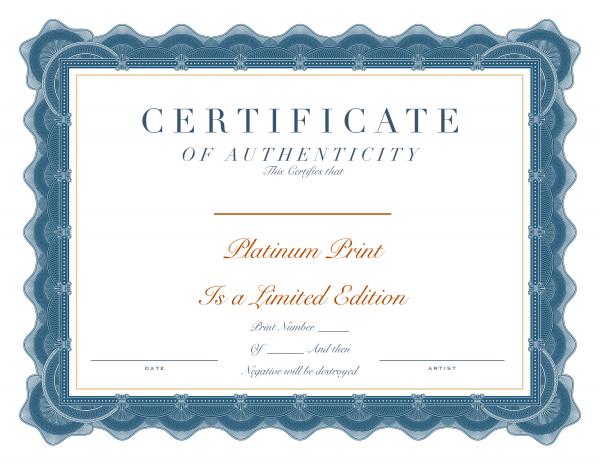 Winter River Platinum picture