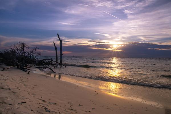 Beer Can Island Sunset