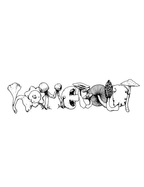 Homeboldt