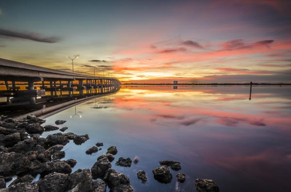 Bridge to Beauty picture