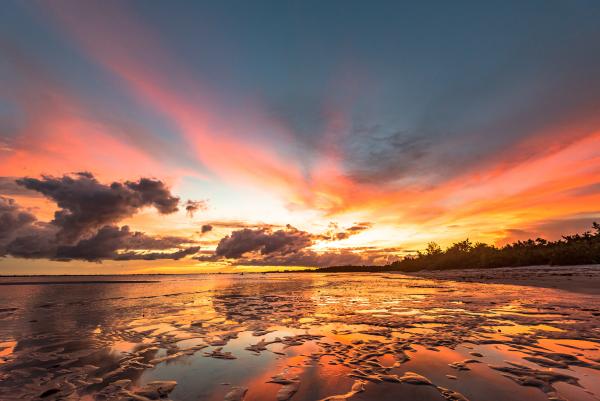 Bunche Beach Beauty