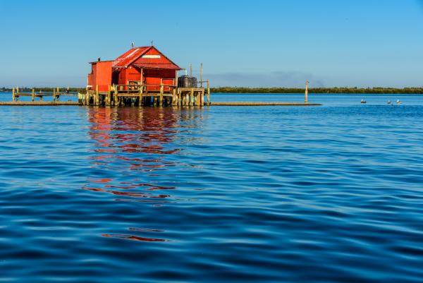 Pine Island Fish House picture