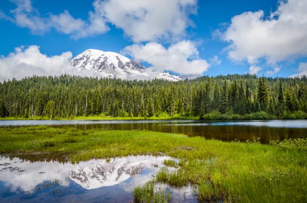 Mt. Rainier and Reflection Lake picture