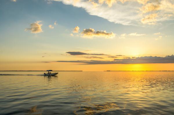 Sunset Speedboat