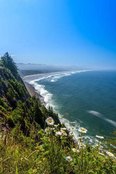 Oregon Coast Viewpoint picture