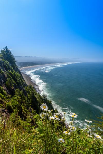 Oregon Coast Viewpoint