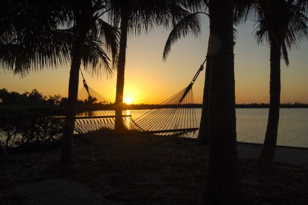 Island Life Sunrise picture