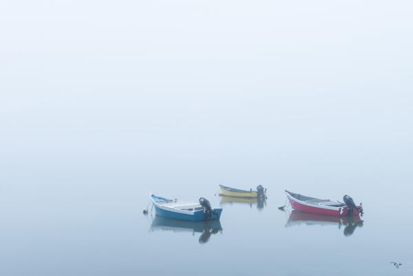 Foggy Sunrise