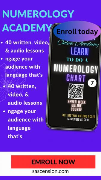 Numerology Academy