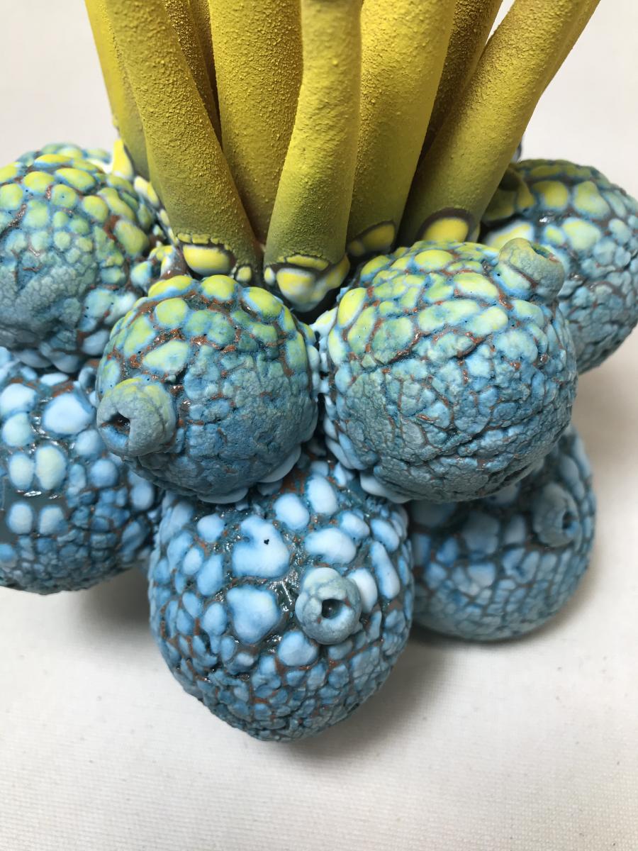 Coral Vision picture