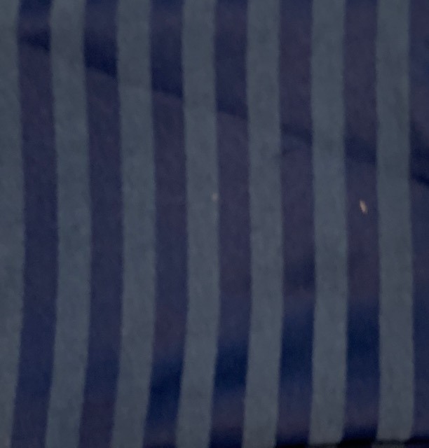 Teacup Holster - Custom Made picture