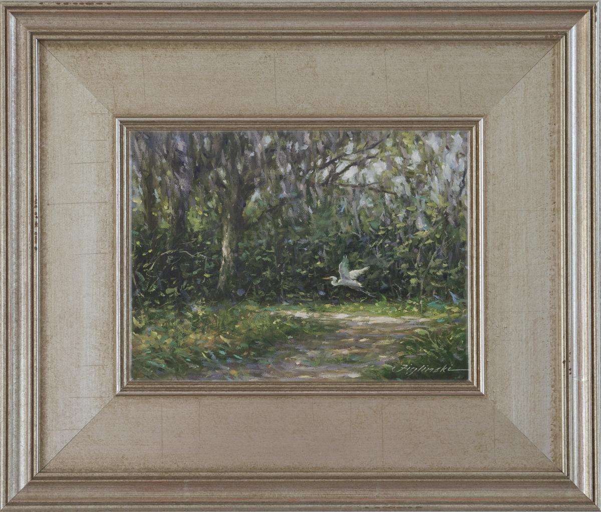 #20059 Myakka Trail picture