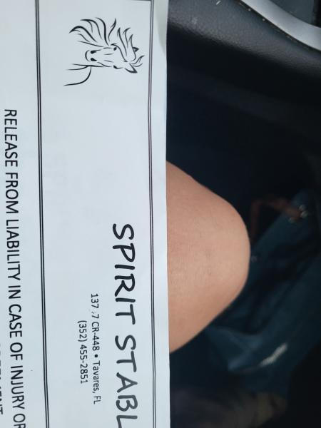 Spirit Stables