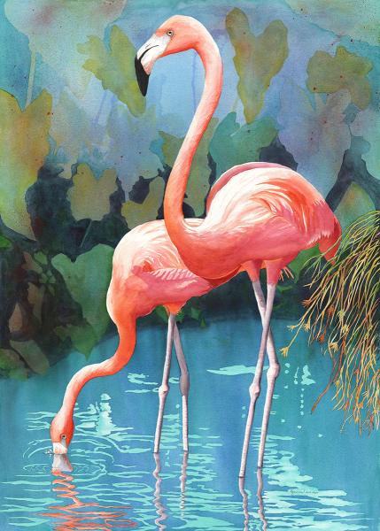 Flamingos in Paradise picture