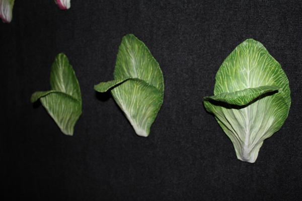 Green Leaf Sconce picture