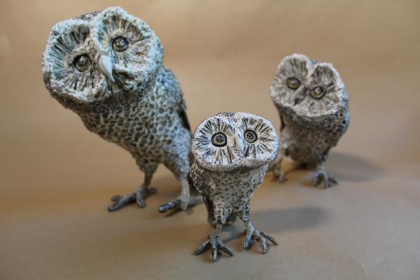 Owl Family with QR code picture