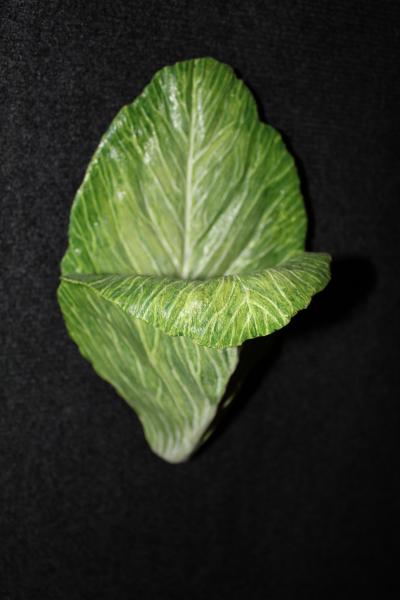 Green Leaf Sconce picture