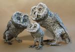 Owl Family with QR code