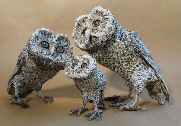 Owl Family with QR code picture