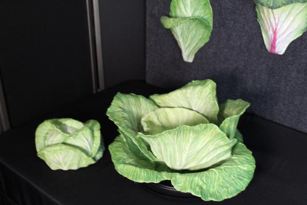 Nesting Cabbage, 3 pieces picture