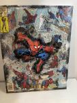 Spiderman Canvas Art