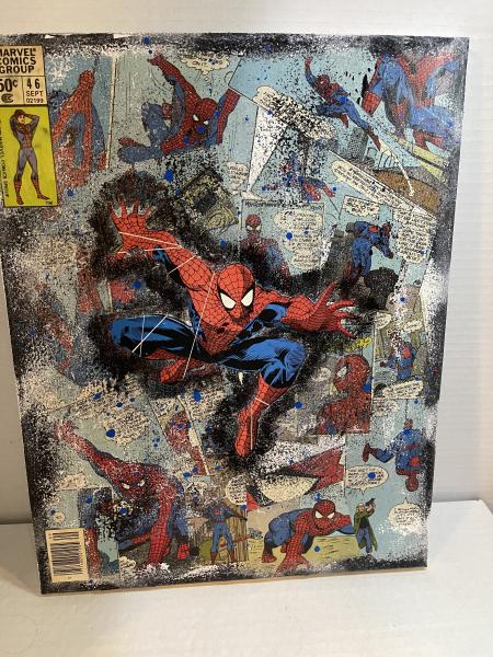 Spiderman Canvas Art picture