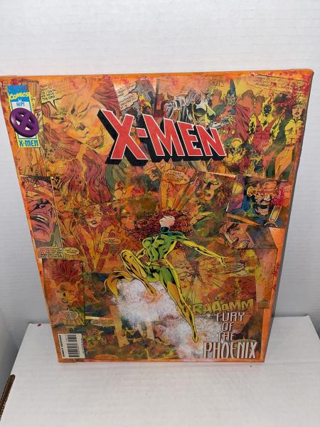 X-Men Phoenix Canvas Art picture
