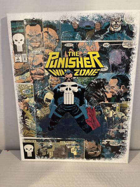 Punisher Canvas Art picture