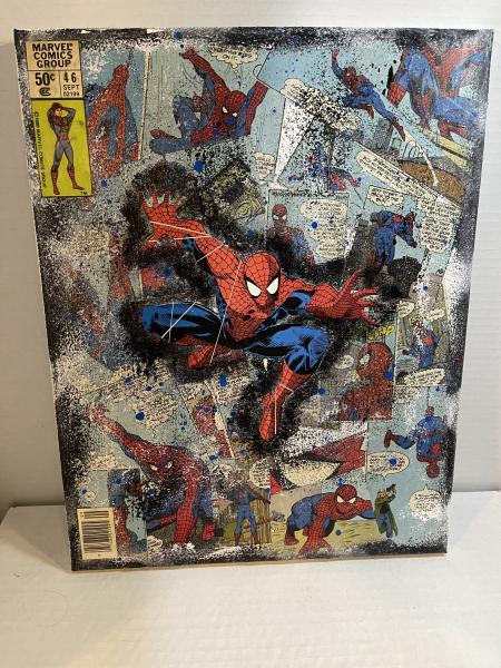 Spiderman Canvas Art picture