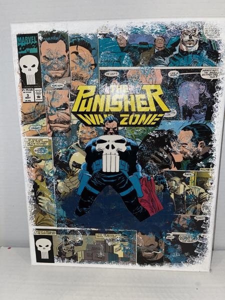 Punisher Canvas Art picture