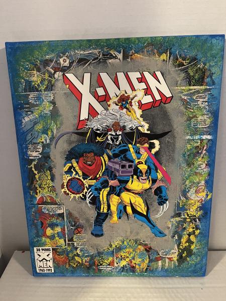 X-Men Group Canvas Art picture
