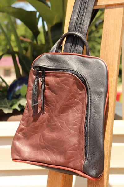 Sassi Pack picture