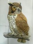 owl