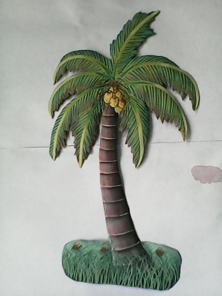 medium coconut palm tree picture