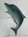 small dolphin